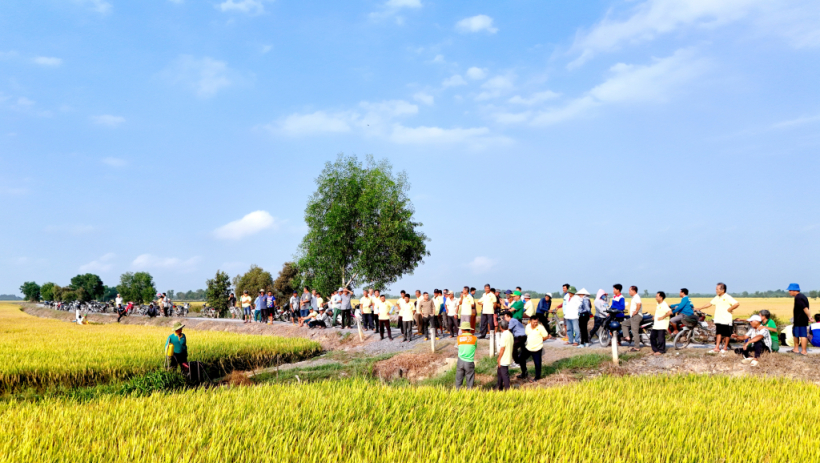 X&atilde; Thạnh Đức: Hội thảo đầu bờ, hướng dẫn kỹ thuật canh t&aacute;c vụ l&uacute;a H&egrave; Thu 