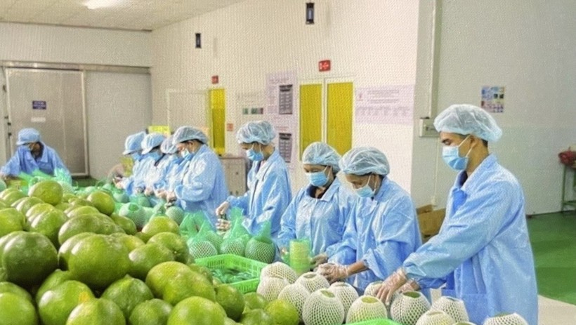 Đa dạng thị trường, giảm rủi ro xuất khẩu n&ocirc;ng sản