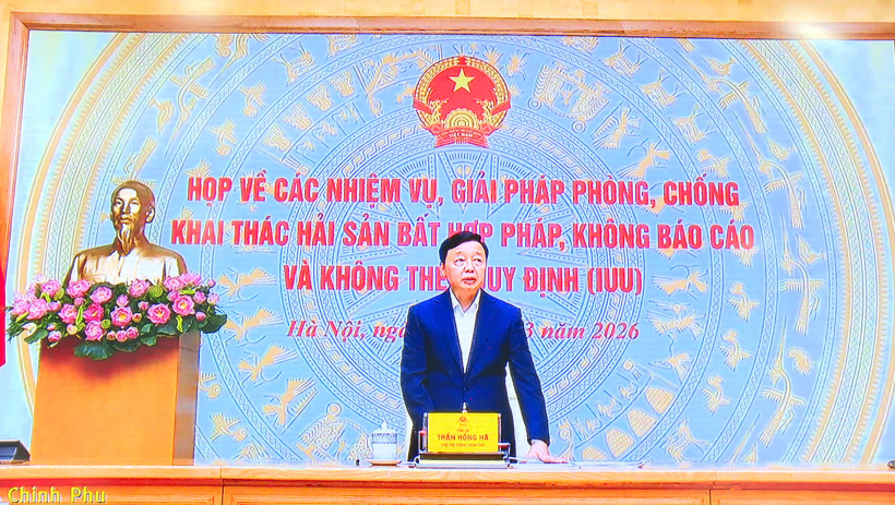 Ph&oacute; Thủ tướng Ch&iacute;nh phủ chỉ đạo xử l&yacute; nghi&ecirc;m vi phạm IUU, kh&ocirc;ng để t&aacute;i diễn t&igrave;nh trạng t&agrave;u c&aacute; 'đi lạc'