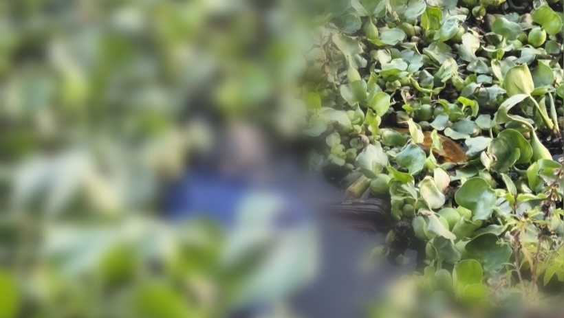 Ph&aacute;t hiện thi thể người phụ nữ nổi tr&ecirc;n s&ocirc;ng