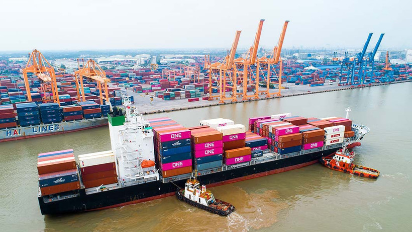 Kh&ocirc;ng tự &yacute; tăng gi&aacute; cước, phụ thu bất hợp l&yacute; trước biến động gi&aacute; nhi&ecirc;n liệu