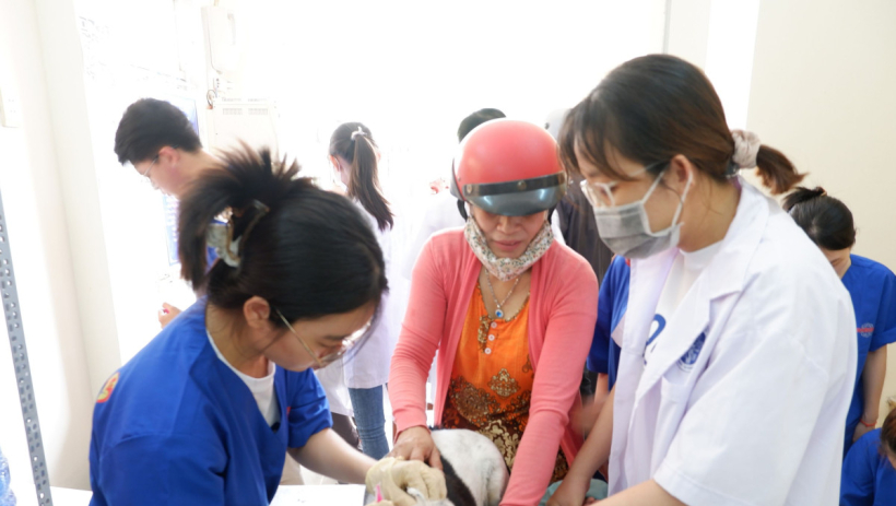 Ghi nhận 4 trường hợp tử vong do bệnh dại