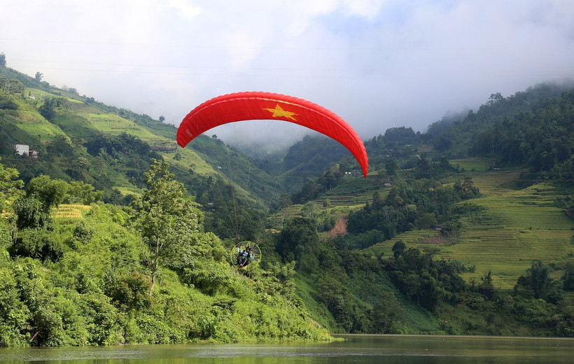 Cả nước c&oacute; hơn 14,9 triệu ha rừng với tỷ lệ che phủ rừng to&agrave;n quốc đạt 42,03%