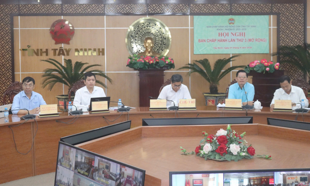 Đại biểu tham dự tại hội nghị