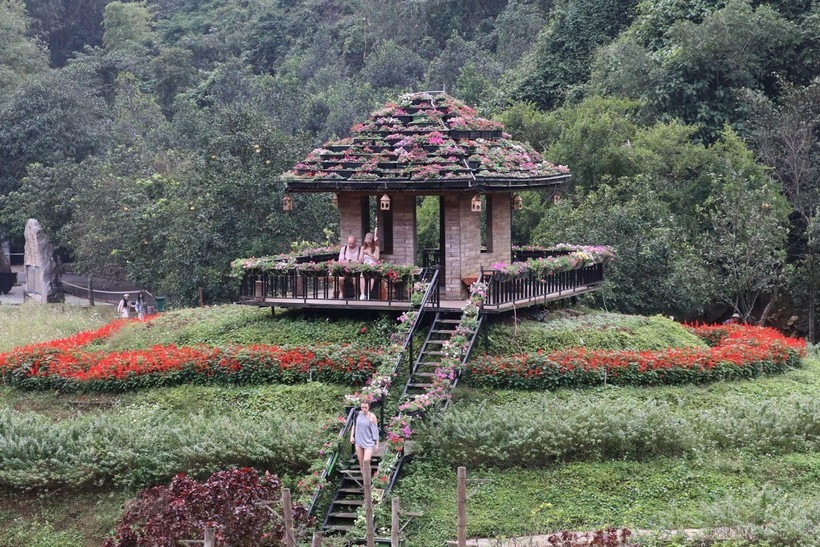 Ninh B&igrave;nh: 'Đảo hoa bốn m&ugrave;a' khoe sắc giữa thi&ecirc;n nhi&ecirc;n di sản Tr&agrave;ng An