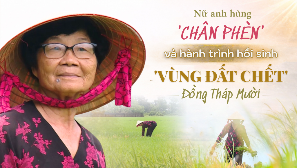 Nữ anh h&ugrave;ng 'ch&acirc;n ph&egrave;n' v&agrave; h&agrave;nh tr&igrave;nh hồi sinh 'v&ugrave;ng đất chết' Đồng Th&aacute;p Mười