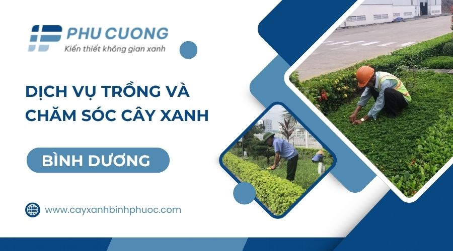 5 c&ocirc;ng ty c&acirc;y xanh nổi bật Đ&ocirc;ng Nam Bộ: Gọi t&ecirc;n Ph&uacute; Cường v&agrave; Ho&agrave;ng Minh LS
