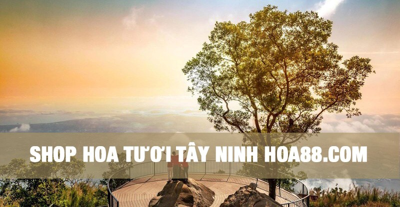 Dịch vụ hoa đ&aacute;m tang tại T&acirc;y Ninh Hoa88.com -&nbsp;Gửi trọn lời tiếc thương