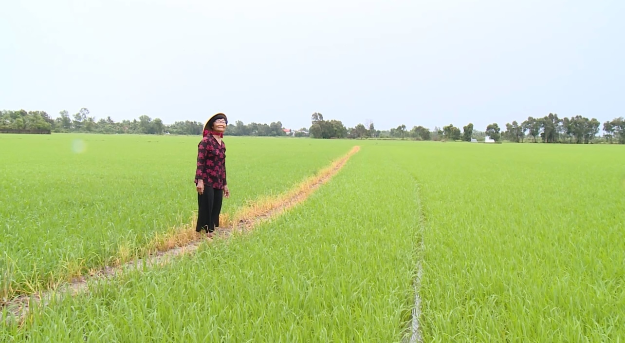 Ảnh với chú thích