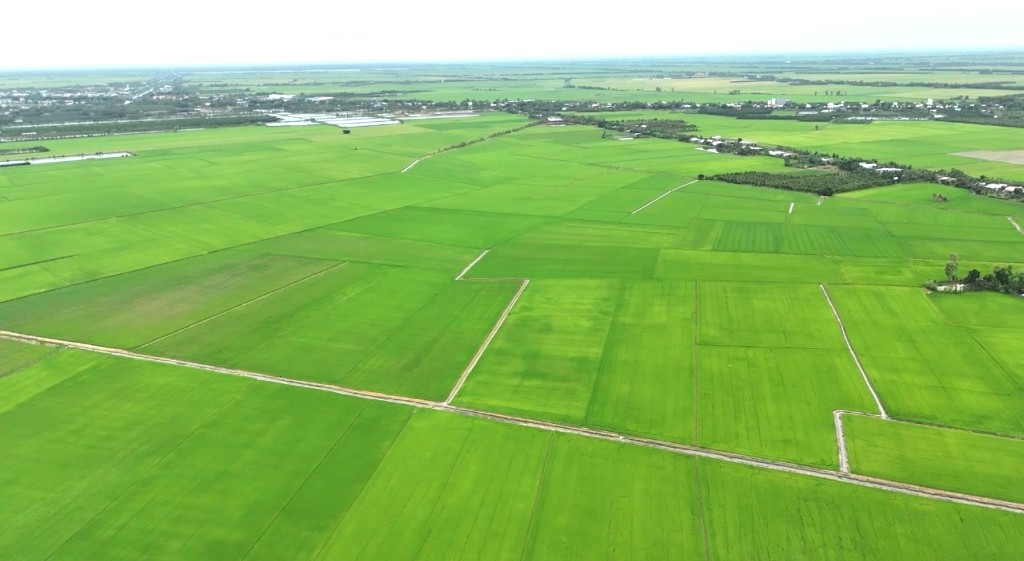 Ảnh với chú thích