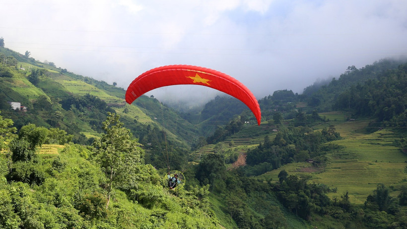 Cả nước c&oacute; hơn 14,9 triệu ha rừng với tỷ lệ che phủ rừng to&agrave;n quốc đạt 42,03%