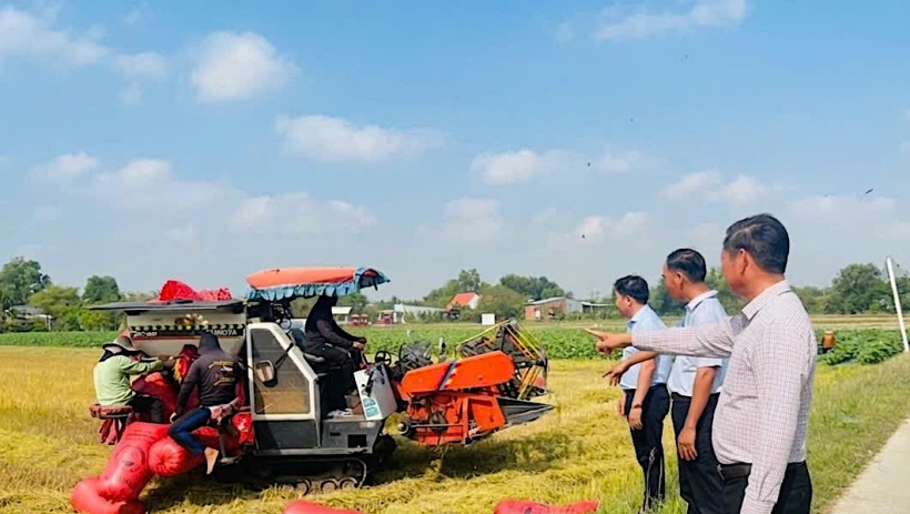 X&atilde; An Ninh: Tập trung ph&aacute;t triển, n&acirc;ng cao đời sống người d&acirc;n