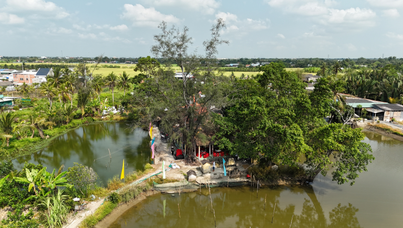  Tây Ninh đón bằng công nhận Cây Di sản Việt Nam thứ 36 của tỉnh