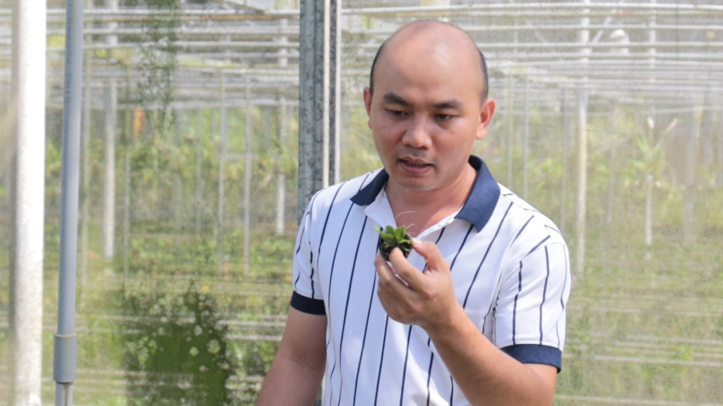 Từng có lúc, anh Lê Hoàng Nhân rơi vào cảnh mất vốn vì thiếu kiến thức trồng lan